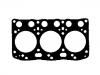 прокладка цилиндра Cylinder Head Gasket:11115-77014