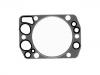 Cylinder Head Gasket:442 016 04 20